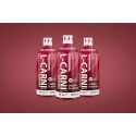 Allnutrition L-Carni Concentrate + Green Tea - L-Carnitină lichidă