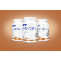SFD Cordyceps Caps
