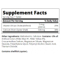 21st Century Calcium 500 + D3 - Calciu + D3