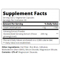 21st Century Ginseng Extract - Ginseng
