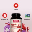 Jarrow Formulas Methyl B-12 5000 - Vitamina B12
