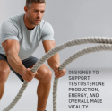 Applied Nutrition TRT Testosterone Support - Formula de Testosteron