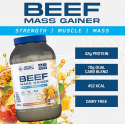 Applied Nutrition Beef Mass Gainer - Câștigător de Vită