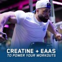 Applied Nutrition Beef Mass Gainer - Câștigător de Vită