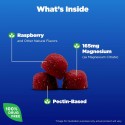 Natrol Magnesium Citrate Gummies - Magneziu